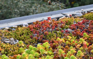 the cost of East Hyde green roof installation