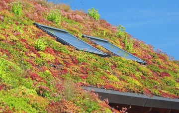 East Hyde living roof systems