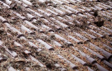 East Hyde roof cleaning companies